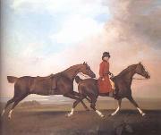 STUBBS, George William Anderson with Two Saddle Horses (mk25) oil painting on canvas